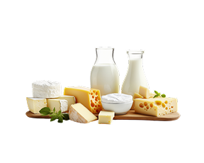 Dairy Product