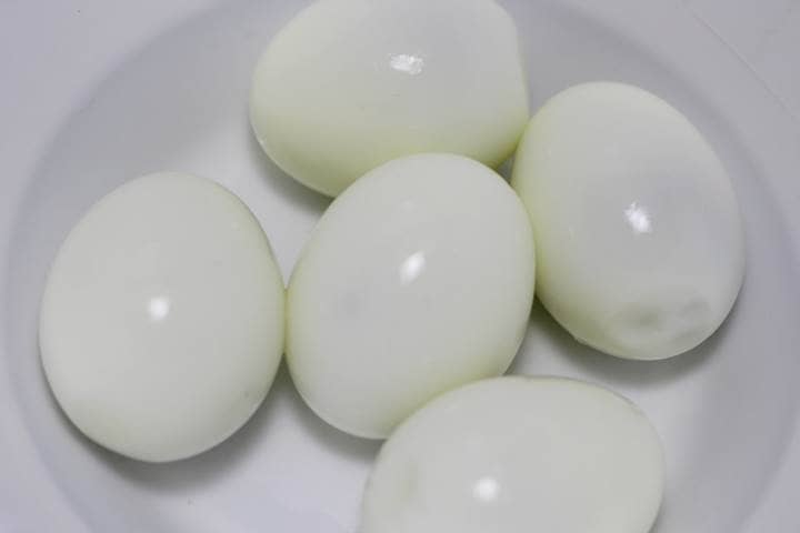 Egg