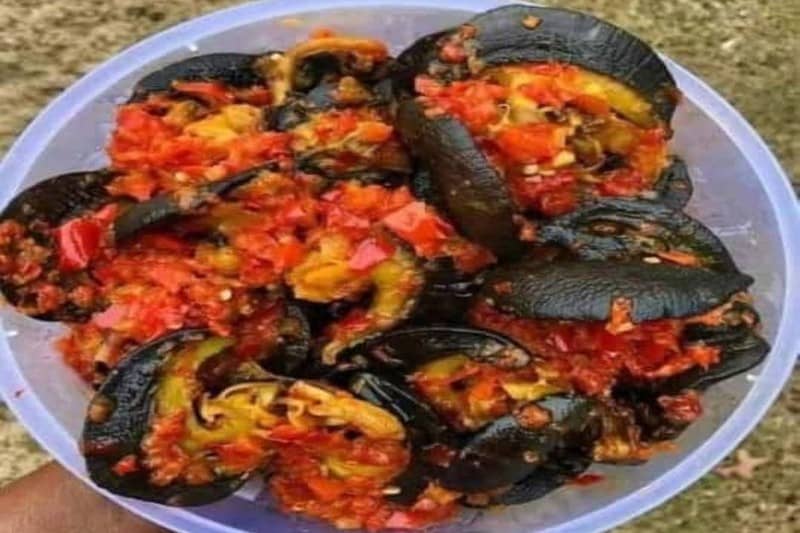 peppered snail