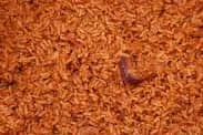 jollof