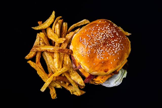 Sizz Crunch Burger