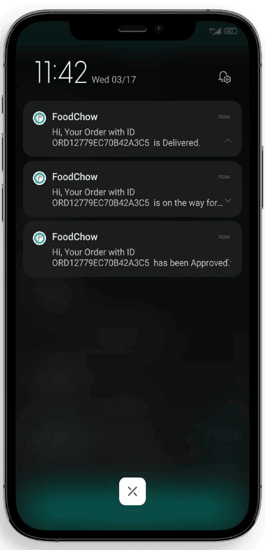 Notification Preview