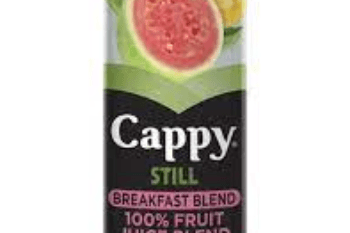 330ML CAPPY JUICE (BREAKFAST PUNCH)