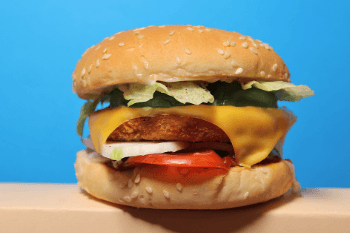 Veggie Topping Burger