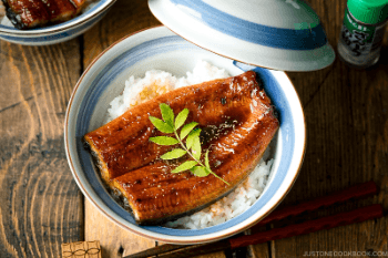 Unagi Don