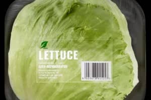 Lettuce