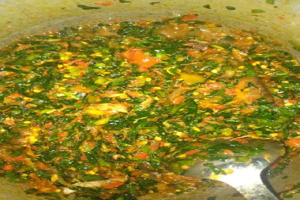 Vegetable soup