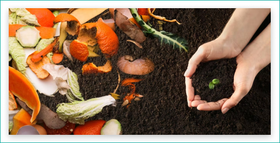 Composting food waste