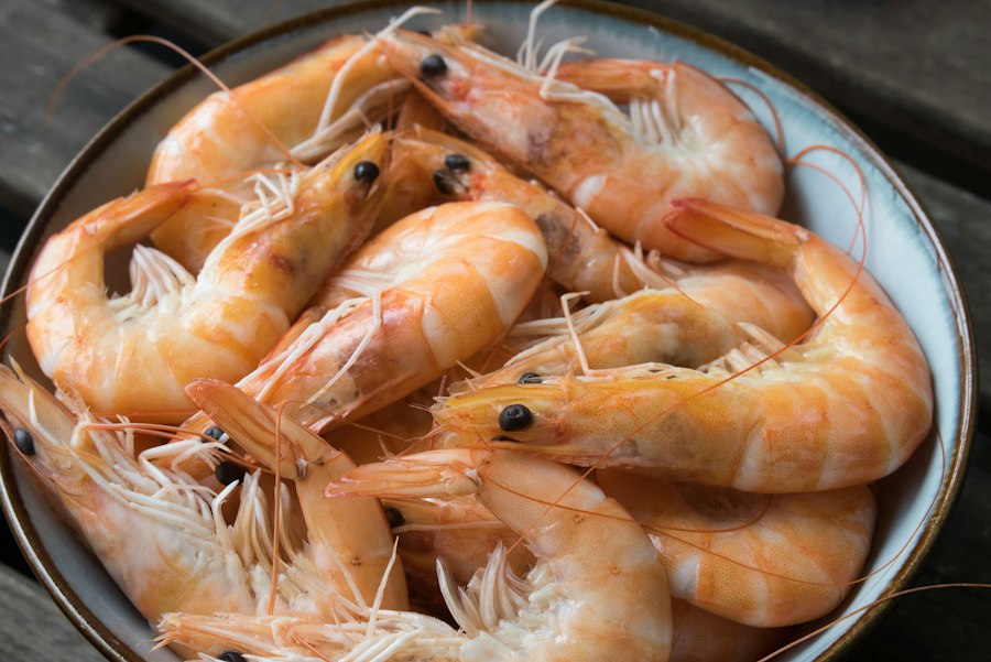 Moreton Bay Bugs